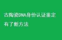 մDNA֤·